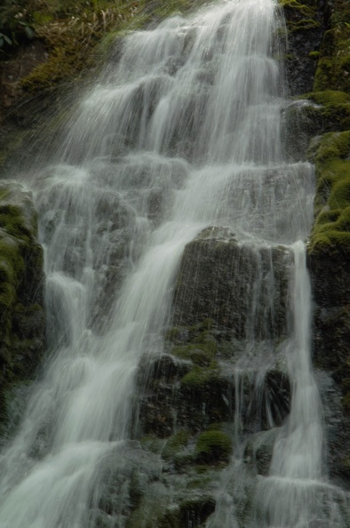 cascade Grand Tendon1.jpg