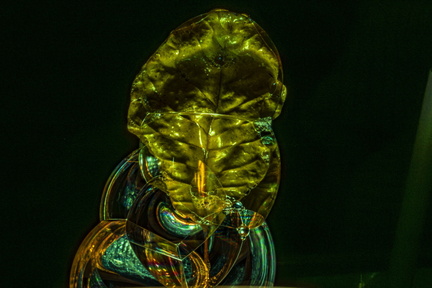  MGL8377-Avec accentuation-Bruit